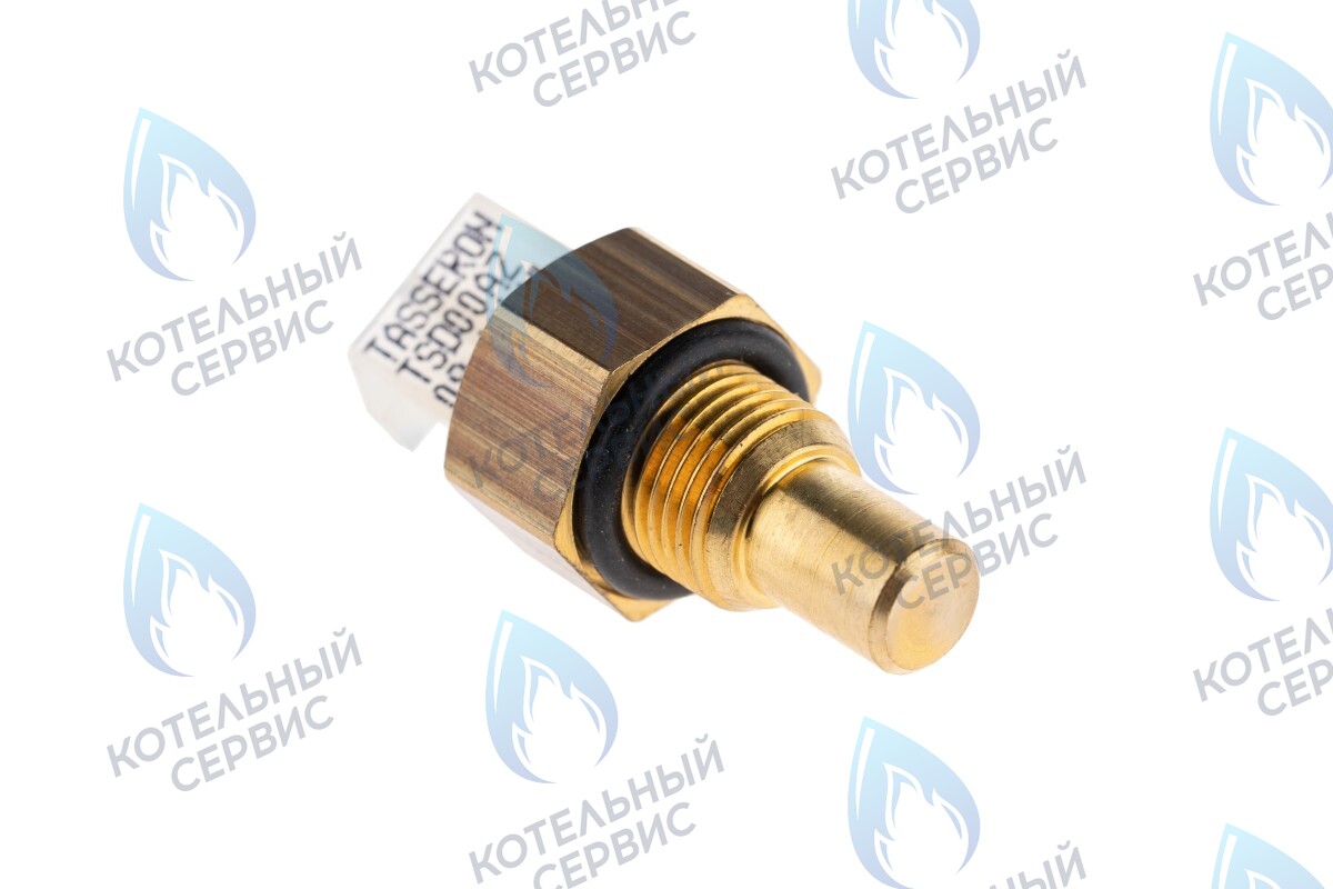 19034002 Датчик NTC ГВС Thermex Xantus в Москве
