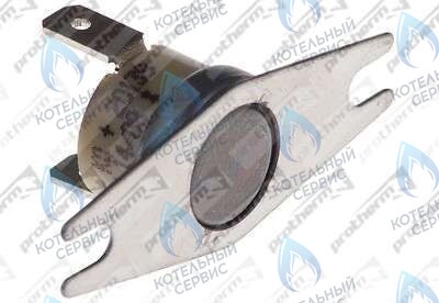 0020049261 Термостат продуктов сгор.65+3°C PROTHERM в Москве