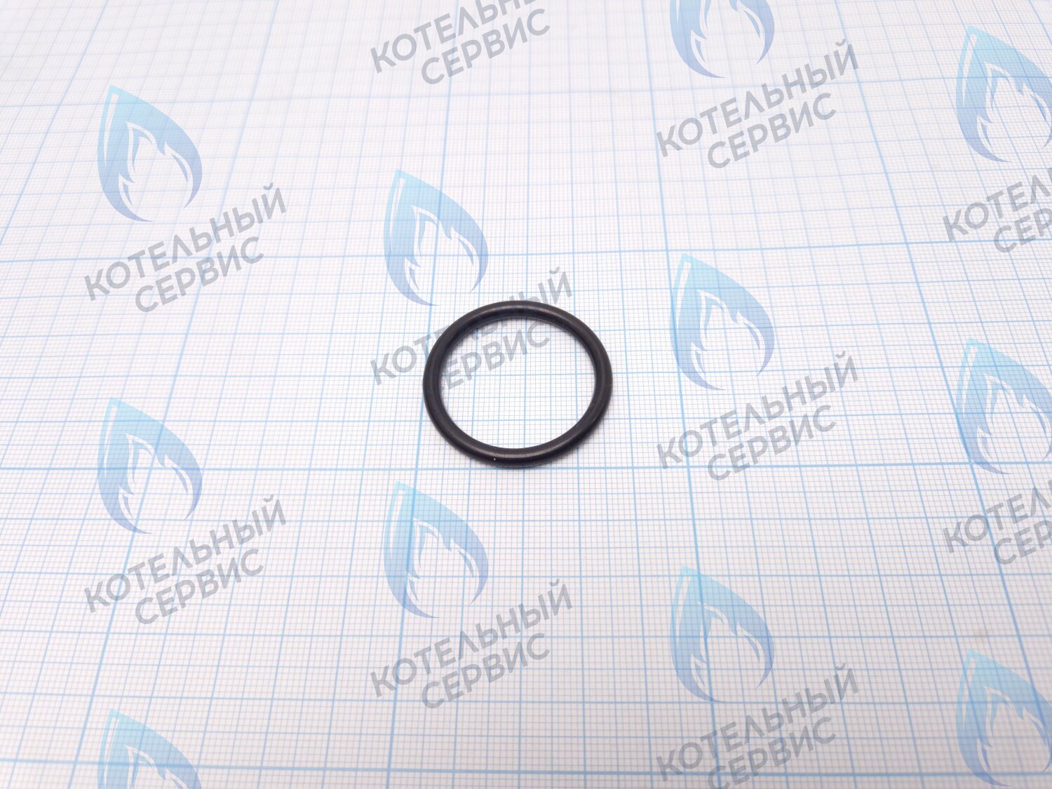 ZR301 Кольцо уплотнительное O-ring для фильтра Navien (20007016A) в Москве