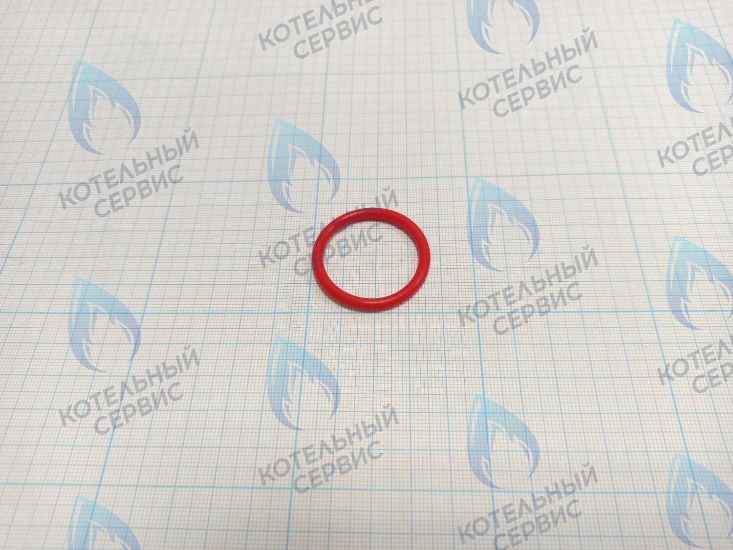 20007016A Кольцо уплотнительное O-ring Navien для фильтра (BH2423087A) в Москве