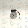 PH-N28CW60-GN95 Двигатель насоса GM-PUMP NVN 15/6 Navien (30000469A, 30000469B, NAPU9GLPCT36) в Москве
