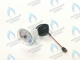 Манометр Vaillant VUW (101271)