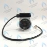 PH-G30CCW50-DG85-5PIN Двигатель насоса DUCA VPG-5/2A 15-50 для VPAL-5/2A Vaillant TEC Plus 3-5 (178983) в Москве