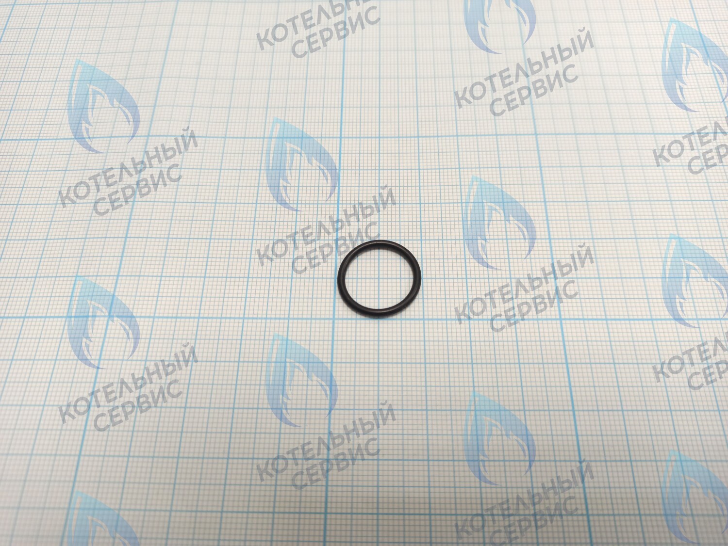 BI1001 131 Прокладка O-Ring 1,78 X 15,6 (BI1001 131) в Москве