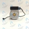 PH-N28CW60-DN95 Двигатель насоса DUCA NP 15-60 Navien (30000469A, 30000469B, NAPU9GLPCT36, 30022723B, 30022723A) в Москве