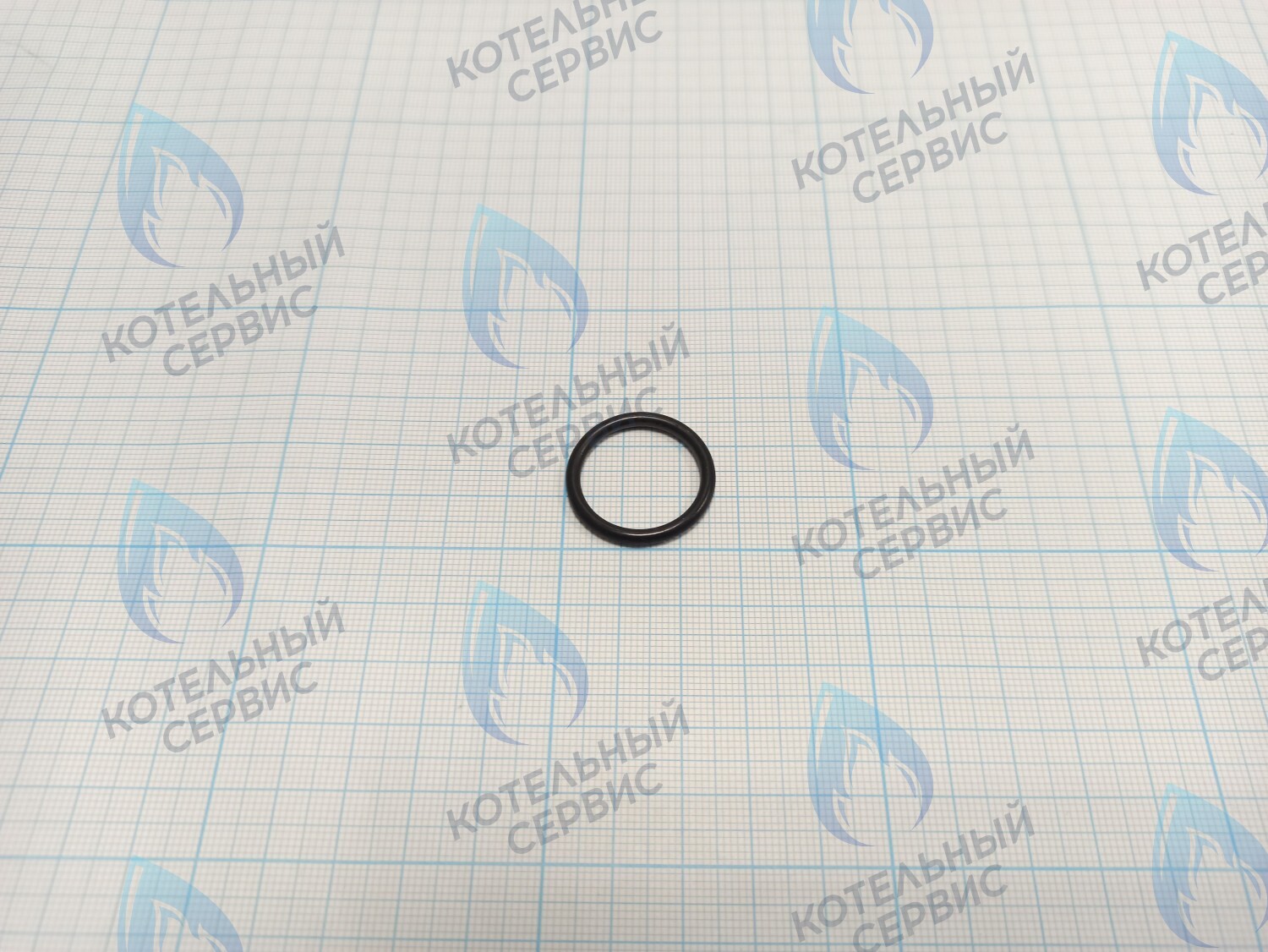 BI1001 130 Прокладка O-Ring 2,6 X 20,6 (BI1001 130) в Москве