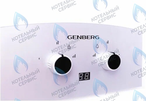 310.01 Водонагреватель газовый проточный (серая накладка) Премиум 10л GENBERG в Москве