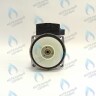 PH-W30CW60-WC86BX-Комп Двигатель насоса 12/6 аналог WILO (без улитки) (12/6, 15/6) WILO 86w MSL 12/6-3 C (30мм по часовой) FERROLI, FONDITAL, BAXI и др в Москве