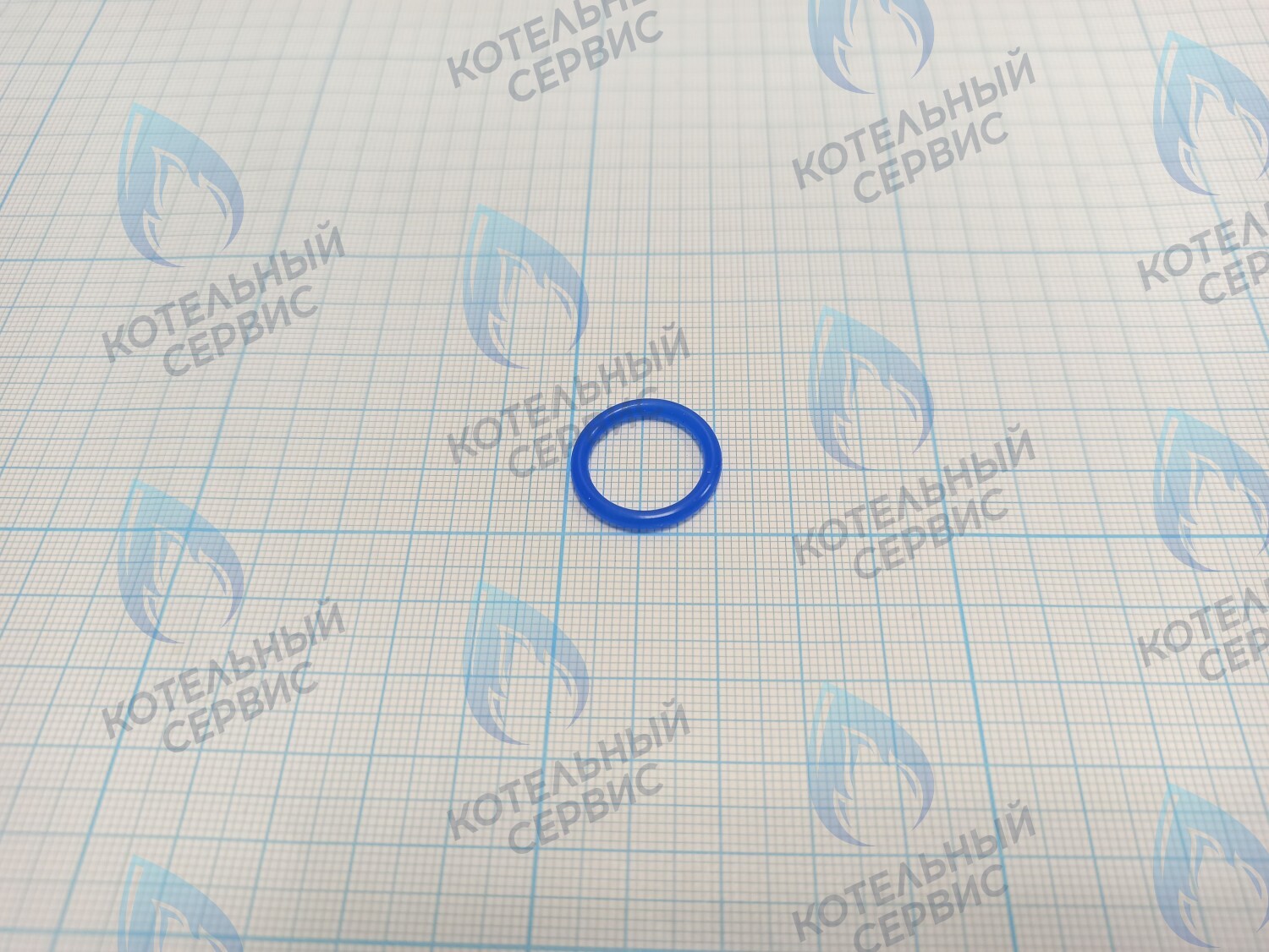 20007019A Кольцо уплотнительное O-ring Navien (SILICONE,P16,Bl) (BH2423090A) в Москве