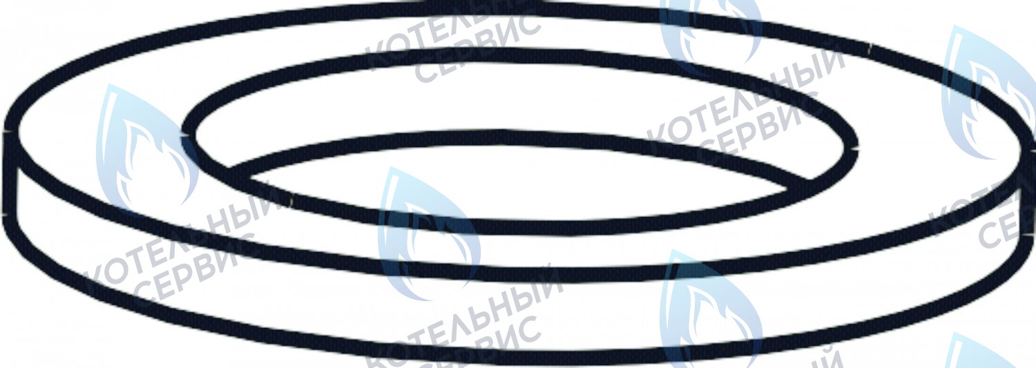 3080164 Уплотнительное кольцо газового клапана CELTIC в Москве