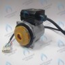 PH-W21CCW67-GW105R-5PIN Двигатель насоса WR15/6.7-2V (против часовой стрелки) PROTHERM Пантера H-RU (0020197549, 0020209790) (замена WILO INTVACL 15/6.7-2) ПАНТЕРА 35 KTV H-RU (0020186162) (замена VACL 15/7) в Москве