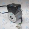 PH-W21CCW67-GW105R-5PIN Двигатель насоса WR15/6.7-2V (против часовой стрелки) PROTHERM Пантера H-RU (0020197549, 0020209790) (замена WILO INTVACL 15/6.7-2) ПАНТЕРА 35 KTV H-RU (0020186162) (замена VACL 15/7) в Москве