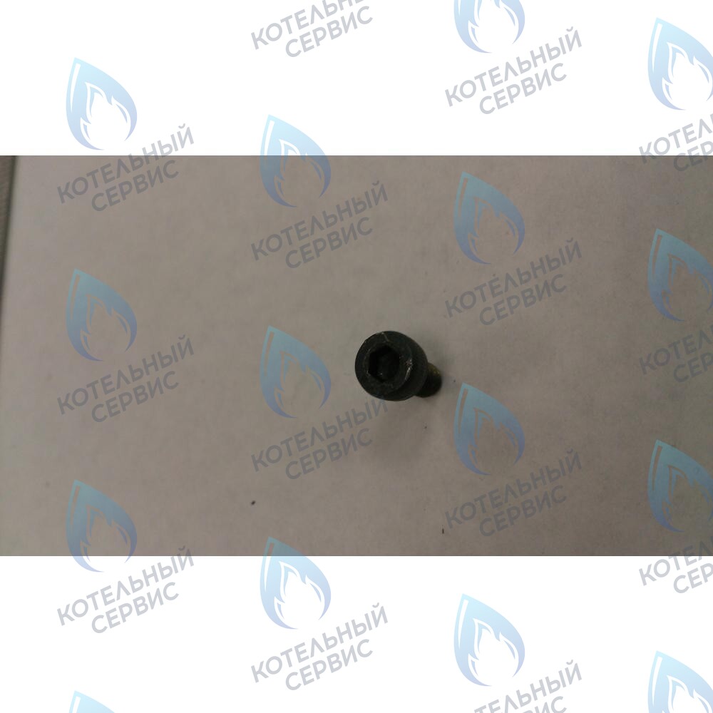 599150076 Винт M4X6 BAXI в Москве