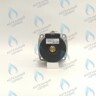 PH-W21CW50-WA82-RS2-Комп Двигатель насоса (черный пластик) (без улитки, без терминала, 2 скорости) аналог WILO 82w INTMSL15/5 HE-2 (21мм по часовой) в Москве