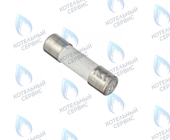0020067507 Предохранитель 2,0 A T2H (комплект 10шт) VAILLANT в Москве