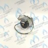 PH-W30CW50-WA82BX-Комп Двигатель насоса (без улитки, с терминалом) (12/5, 15/5) аналог WILO 82w INTBXL15/5-1 (30мм по часовой) BAXI MAIN-5 (710648600, 710820200) в Москве