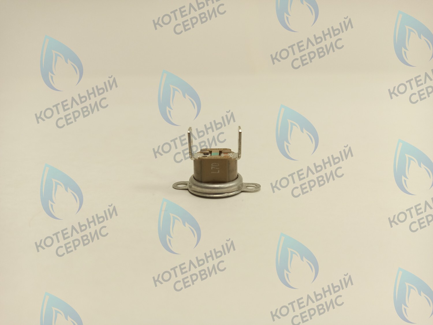 39820770 Термостат дымовых газов аварийный 70С Ferroli в Москве