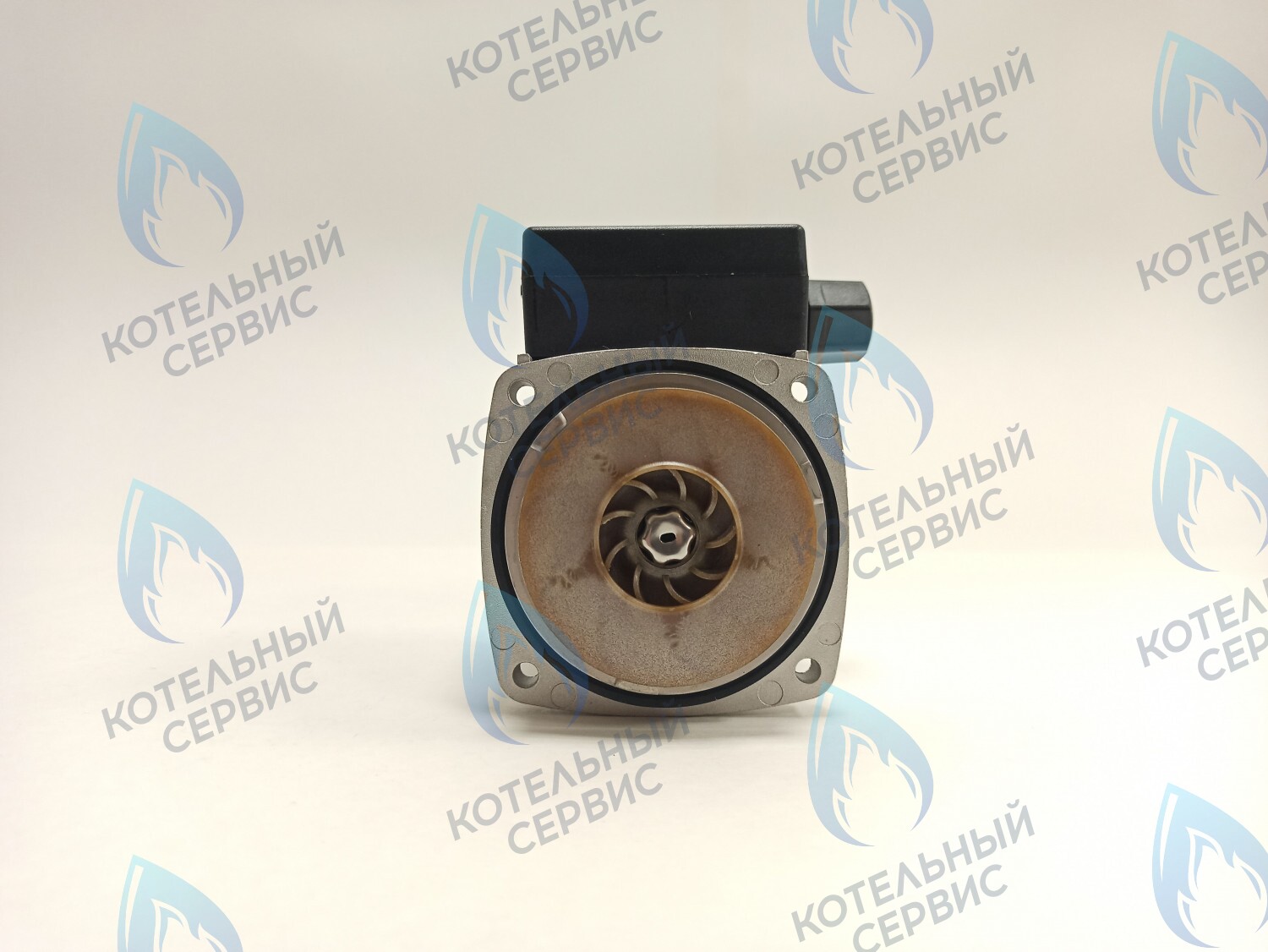 PH-G30CCW50-ER95-02 Двигатель насоса (против часовой) ERCO DWP15-50-A (без улитки) в Москве