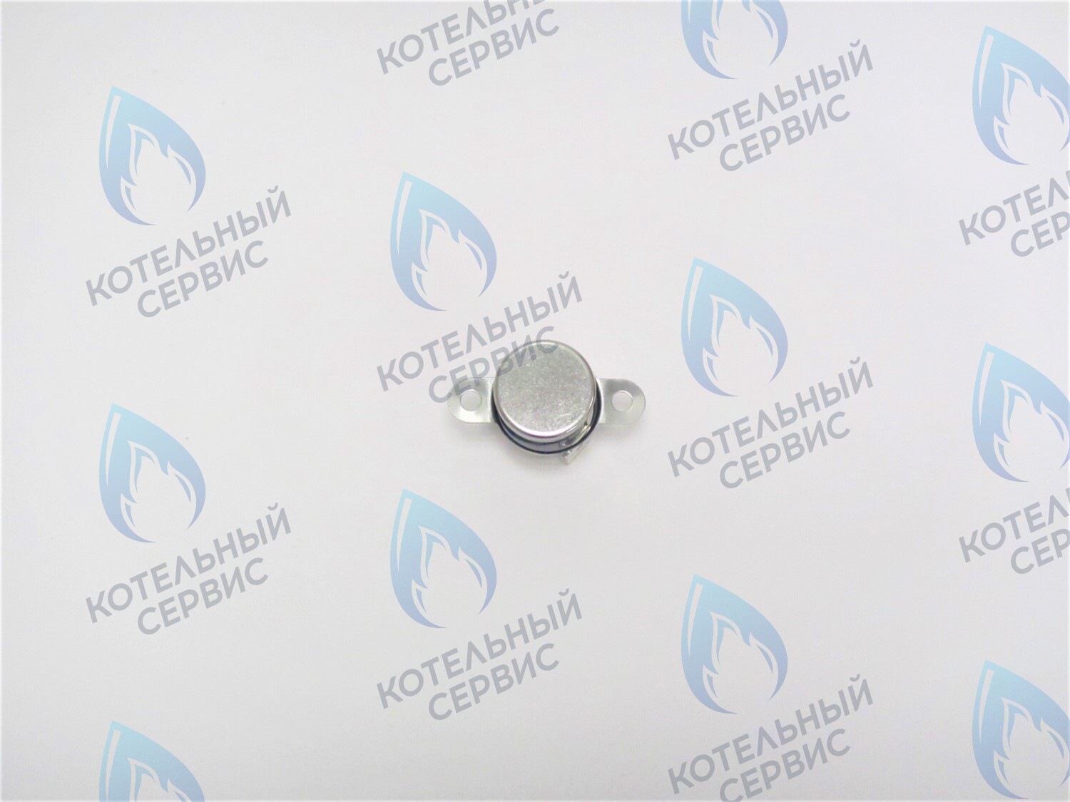 05-5007 Термостат отходящих газов Alpine Light POLYKRAFT в Москве