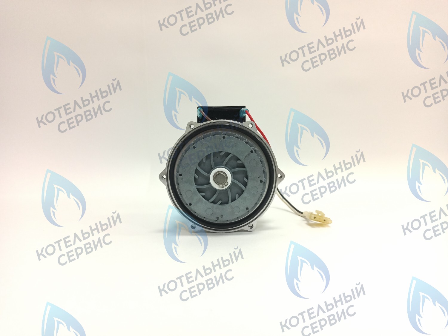 PH-S46CW74-CS81 Двигатель насоса (без улитки, с прокладкой) 81w GRUNDFOS CS-0108DSA  ARDERIA  CELTIC-DS  MASTER GAS SEOUL 30кВт-35кВт DAESUNG A30-41 в Москве