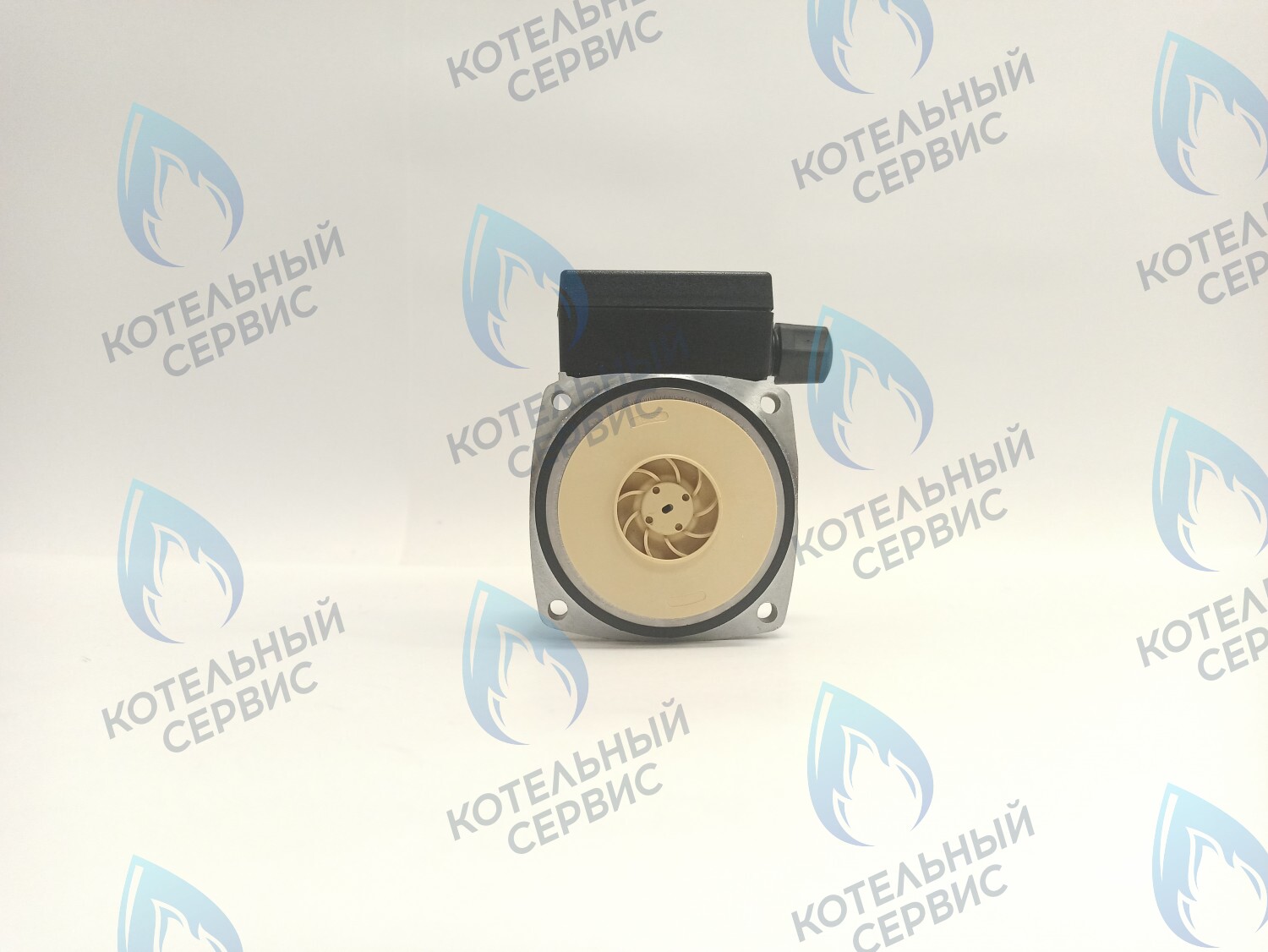 PH-P30CCW50-PR75 Двигатель насоса (против часовой) Protherm 15-50S (0020207146, 0020119604) в Москве