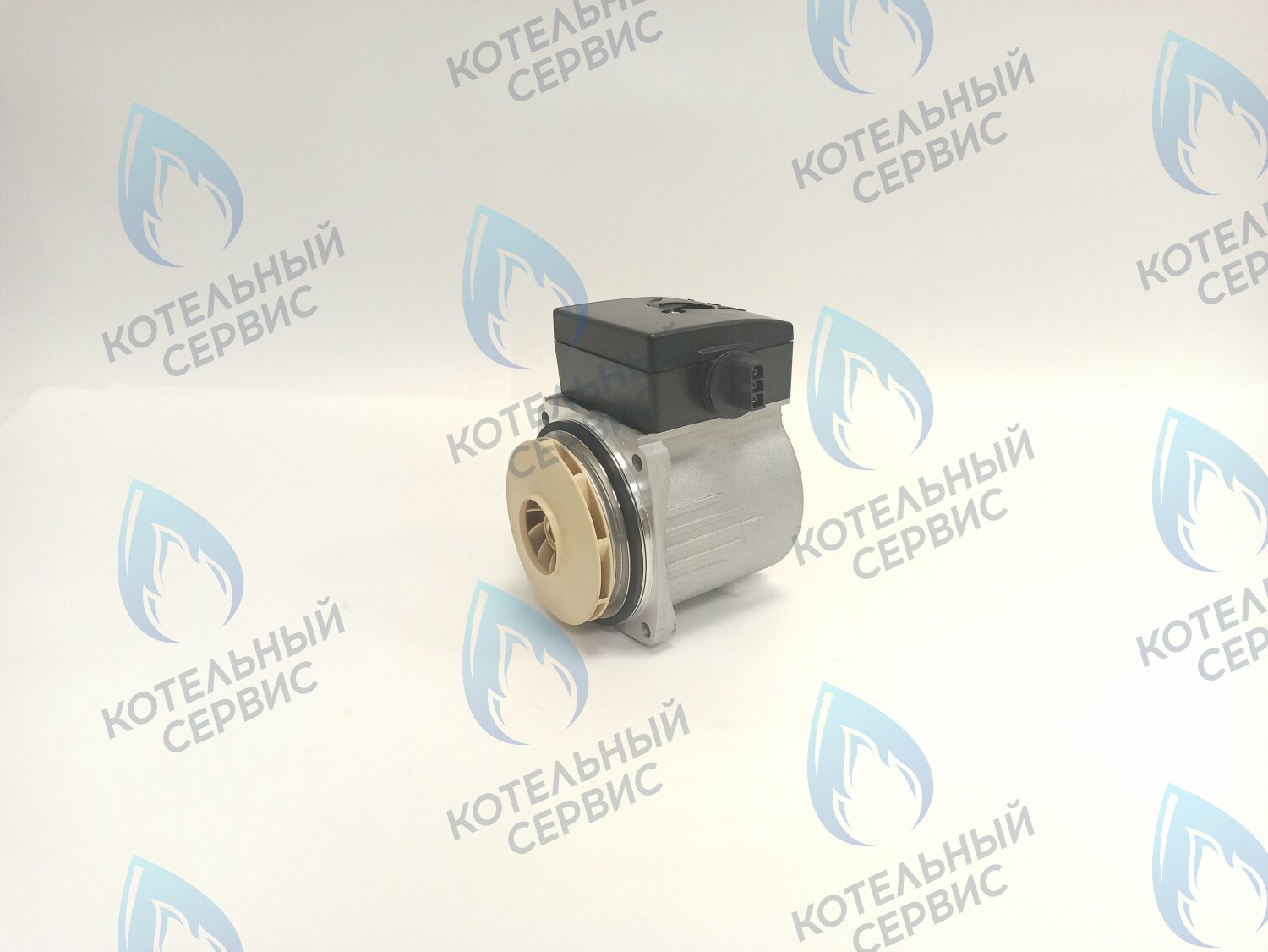 PH-P30CCW60-PR120 Двигатель насоса (против часовой) Protherm 15-60S (0020119604, 0020207146) в Москве