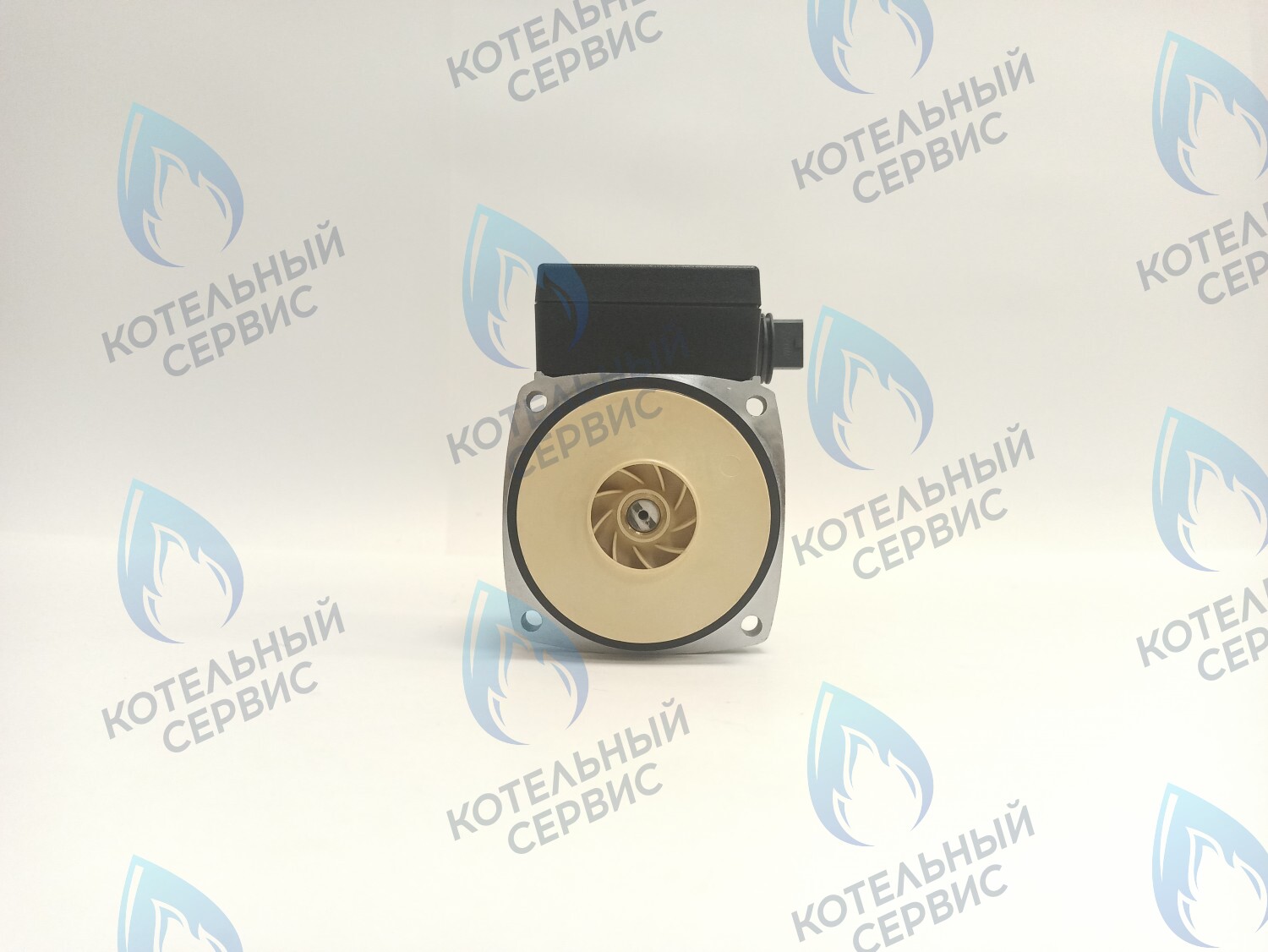 PH-P30CCW60-PR120 Двигатель насоса (против часовой) Protherm 15-60S (0020119604, 0020207146) в Москве