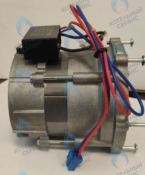 PH-S26CCW70-NK100-NI Двигатель циркуляционного насоса NANOKEM в Москве