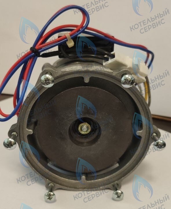 PH-S26CCW70-NK100-NI Двигатель циркуляционного насоса NANOKEM в Москве