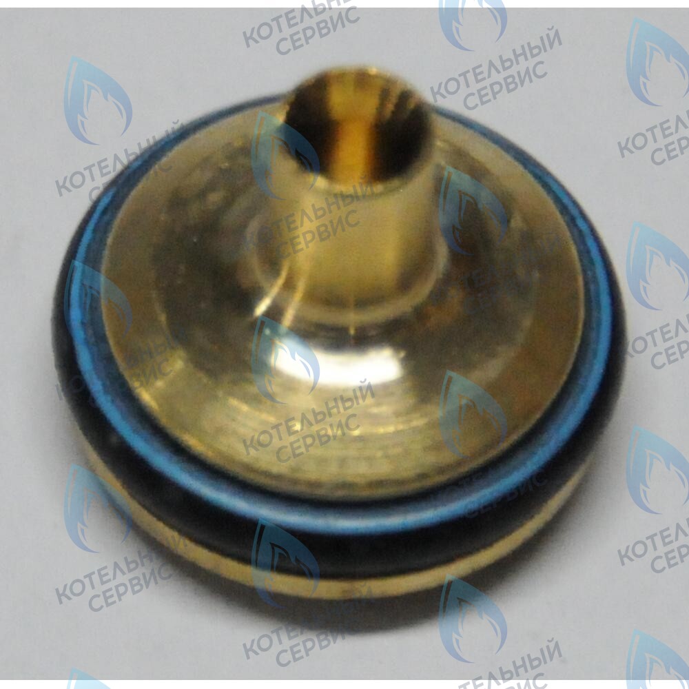 605760 тарелочка системы отопления в сборе BAXI в Москве