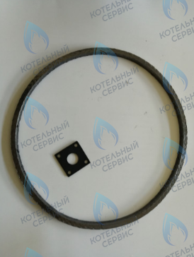 39847430 Уплотнение горелки FERROLI в Москве