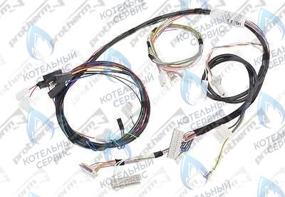 0020044908 Жгут проводов 24BTV17 PROTHERM в Москве