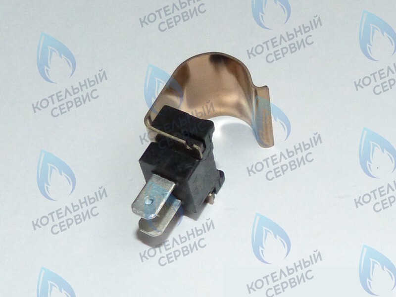 0020014160 Датчик PROTHERM в Москве