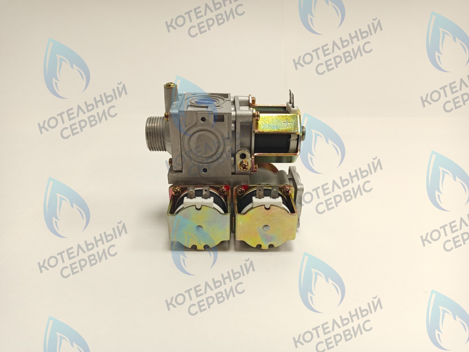 GV007-02 Газовый клапан (электронная регулировка) BL22-02DC-DC220V FERROLI (398000090,46560120), KoreaStar (KS90264100),Thermex в Москве