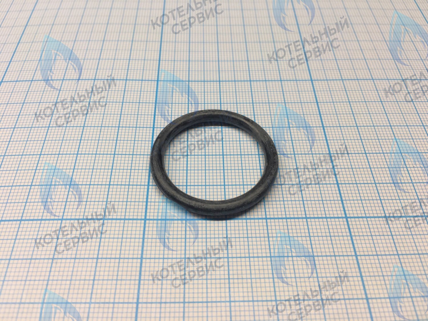 3080016 Кольцо уплотнительное насоса  CELTIC-DS PLATINUM (все модели) (3080016) в Москве
