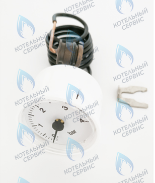 39846290 Манометр FERROLI в Москве