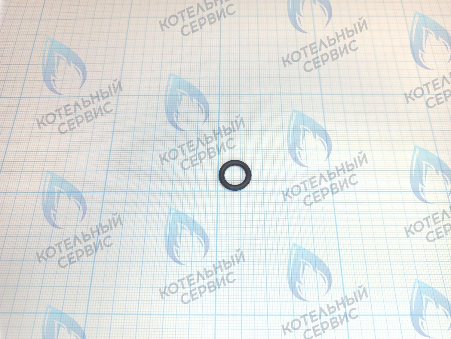 TY02020034 Прокладка O-Ring 9.5*2.5 для датчика давления (TY02020034) ROYAL THERMO в Москве