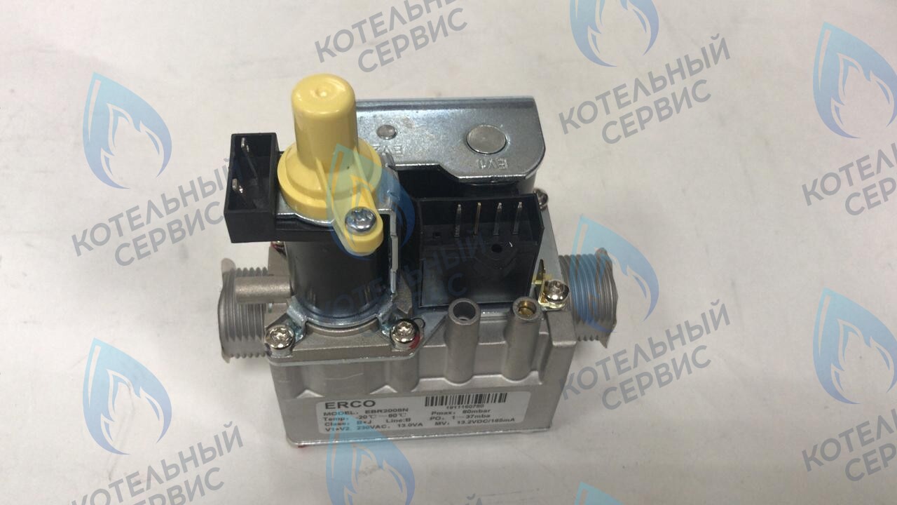 AA.01.03.0001 Газовый клапан ERCO EBR2008R MIZUDO в Москве