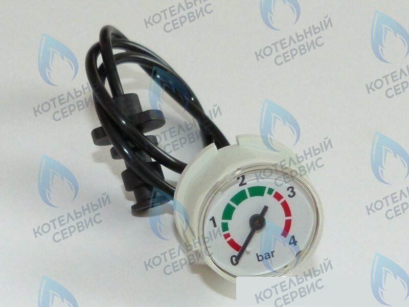 87186457920 Манометр с трубкой BUDERUS в Москве