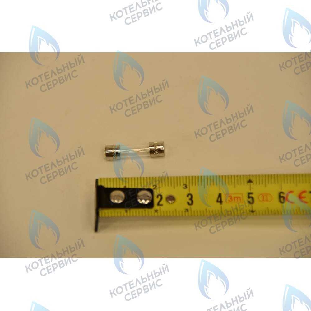 9950580 Плавкий предохранитель (2 А- 250 В) для котлов BAXI в Москве