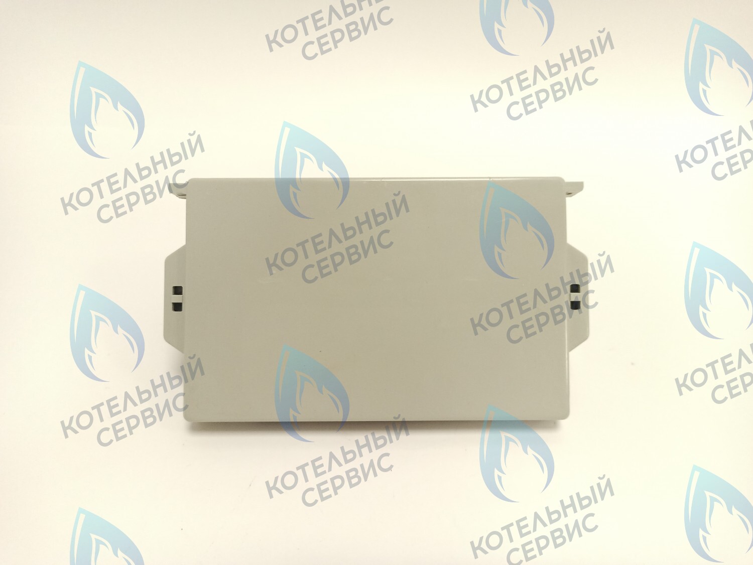 P0000005983 Плата управления электронная (основная) OASIS RT, BM в Москве