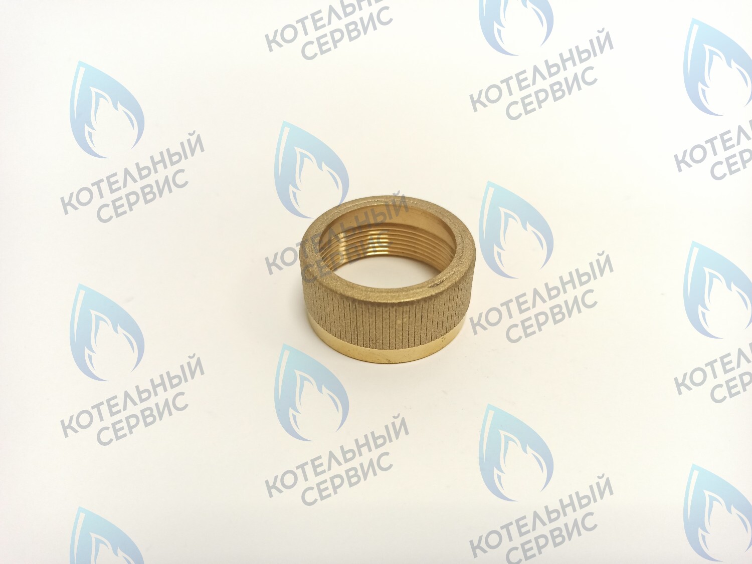 GGT101 Крепление мотора к трехходовому клапану VAILLANT в Москве