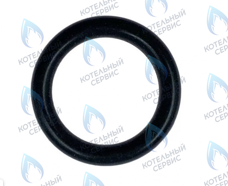 0020118672 Прокладка 5,28x1,78мм PROTHERM в Москве