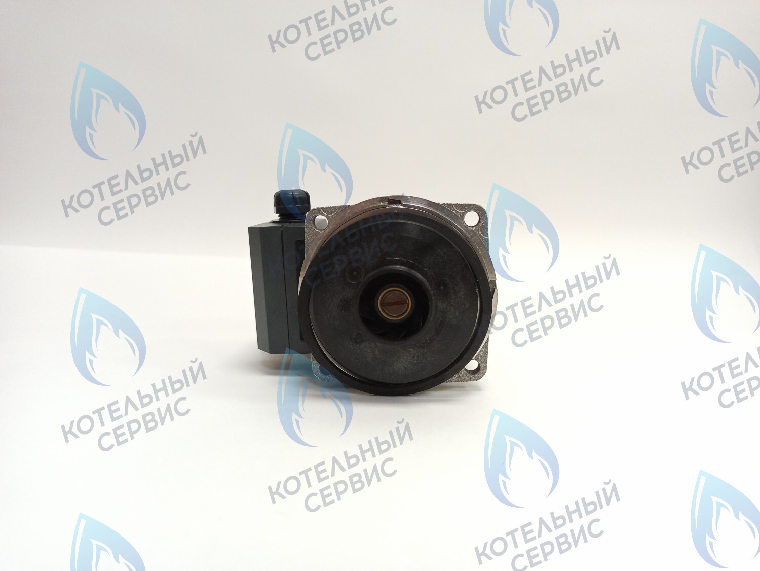 PH-W30CW60-WL93BX Двигатель насоса (без улитки) WILO RS 15/6 93w (30мм по часовой) FERROLI, FONDITAL, BAXI и др в Москве