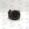 PH-W30CW60-WL93BX Двигатель насоса (без улитки) WILO RS 15/6 93w (30мм по часовой) FERROLI, FONDITAL, BAXI и др в Москве