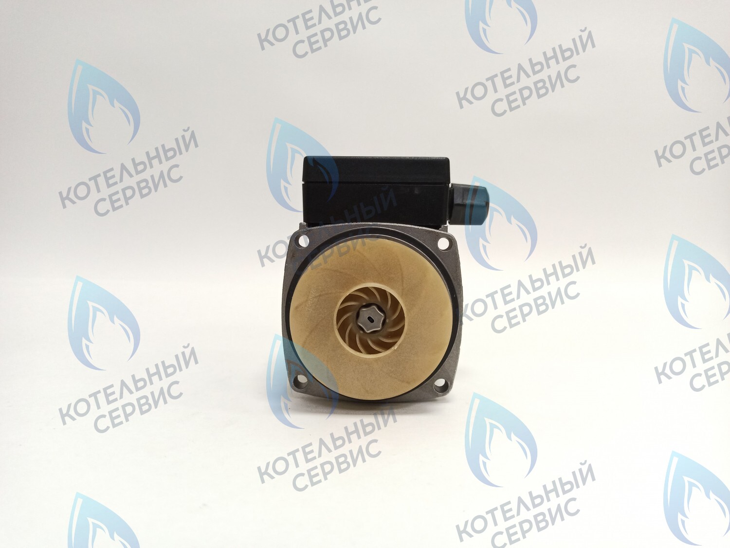 PH-G30CCW70-GR145 Двигатель насоса Grundfos (без улитки) 15-70 145W в Москве