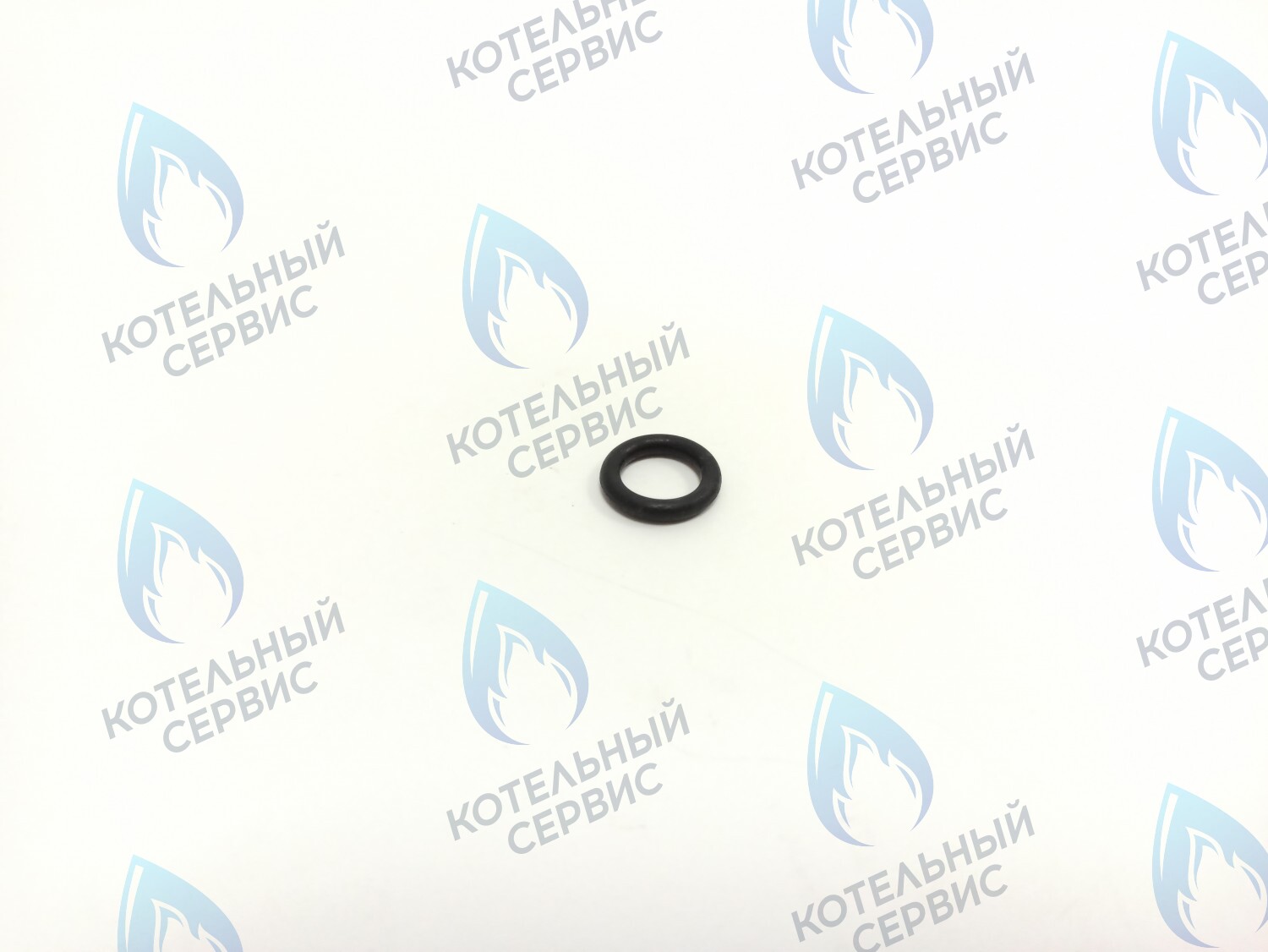BI1262 113 Прокладка O-Ring 2,62 X 9,92 (BI1262 113) ELECTROLUX в Москве