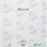 498900520 Газовый настенный двухконтурный котел RINNAI BR-SE в Москве