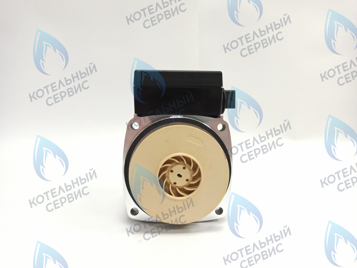 PH-P30CCW60-GB120 Двигатель насоса (против часовой) DD15-60 для Protherm (0020119604, 0020207146) в Москве