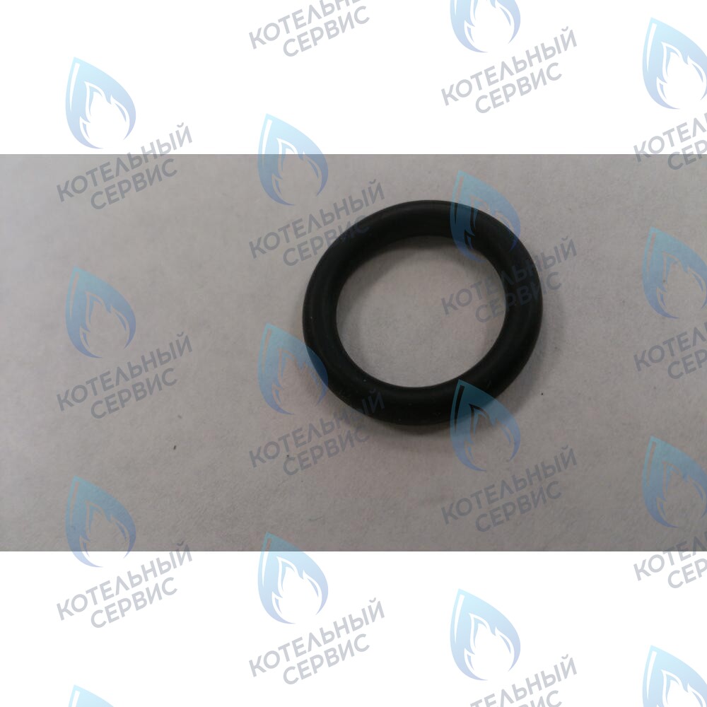 6399440050 Уплотнение кольцевое 3X14X20 BAXI в Москве